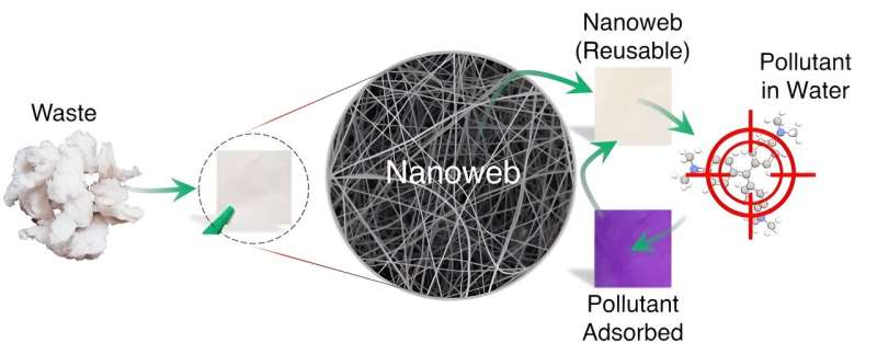 Cellulose Waste Revolutionizes Water Filtration: Nanofiber Technology Removes Hazardous Dyes