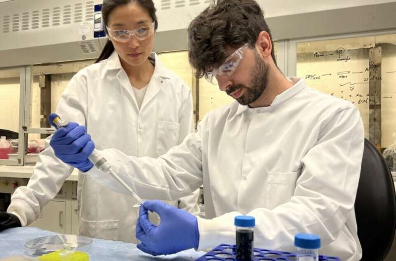 Crinkled Ceramic Coatings Enhance Medical Implant Longevity