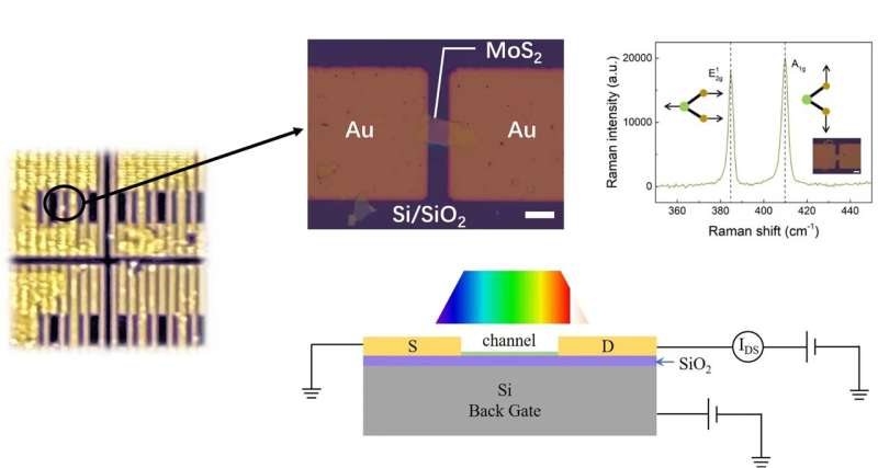 MoS₂ Photodetectors: Breakthrough in Broad-Spectrum Optical Detection
