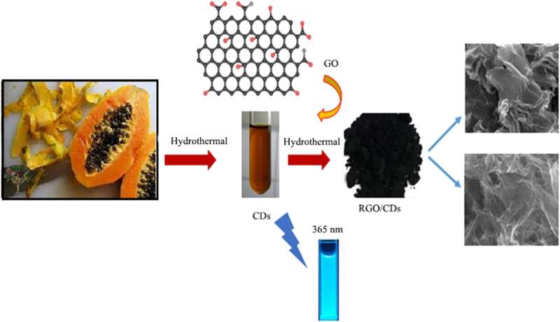 Sustainable Nanocomposite from Papaya Peel for Environmental Remediation