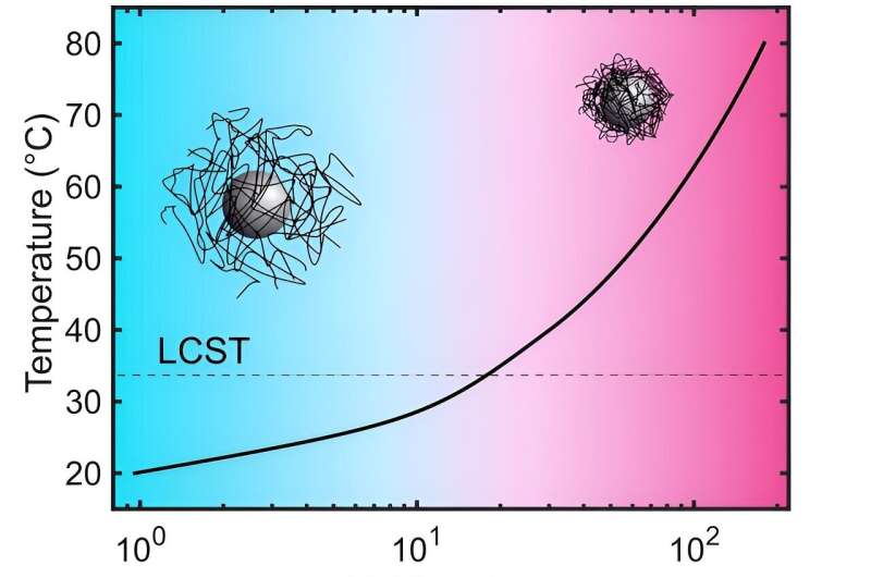 European XFEL Reveals Secrets of a Key Nanogel for Targeted Drug Delivery