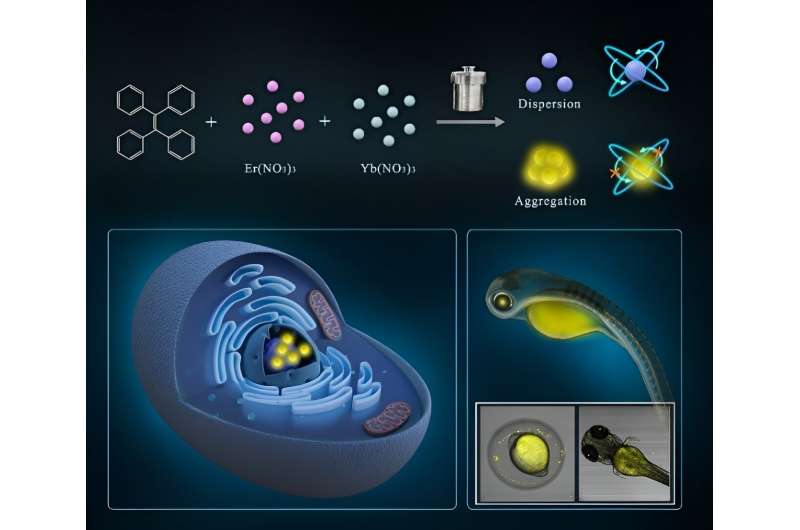 Bioimaging Breakthrough: Novel Carbon Dots for Enhanced Disease Detection