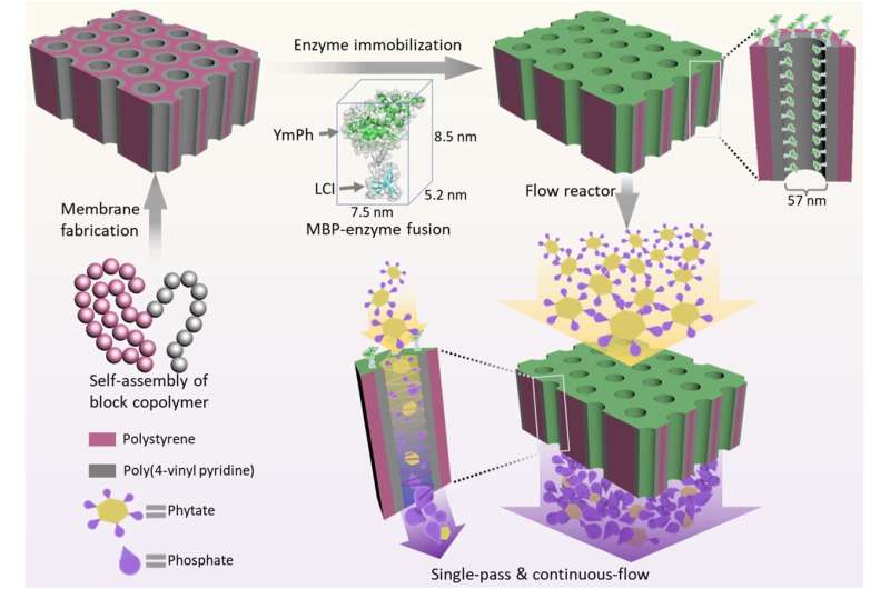 Nanomembrane Breakthrough Boosts Chemical Reaction Rates