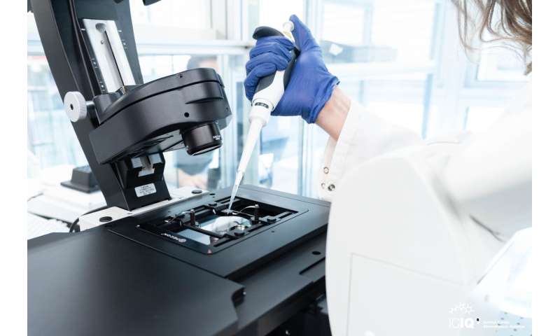 Antimicrobial Silver Micromotors for Water Applications | ICIQ Research