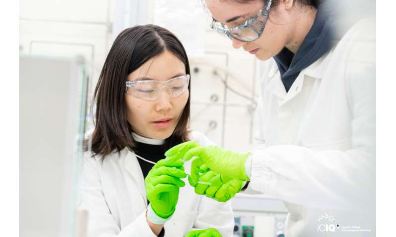 Antimicrobial Silver Micromotors for Water Applications | ICIQ Research