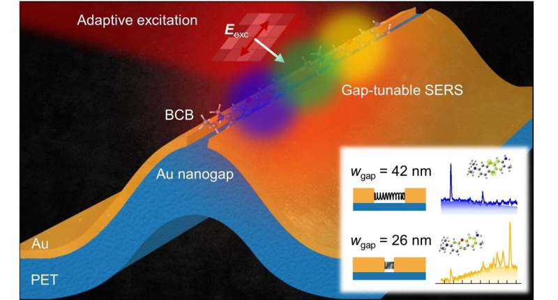 Flexible Nanogap Sensor for Rapid Infectious Disease Detection