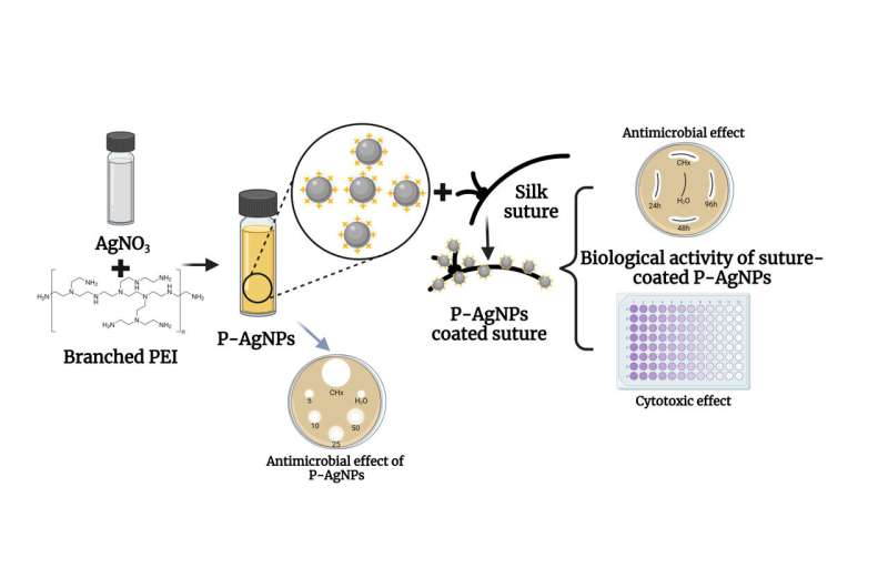 Nanosilver-Impregnated Silk Sutures Combat Surgical Site Infections
