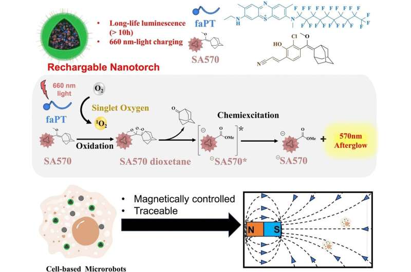 Nanotorch: Real-Time Imaging of Microrobots Inside Living Cells