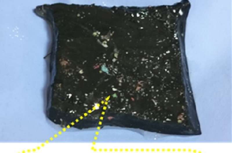 Innovative Hydrogel for Microplastic Removal from Water