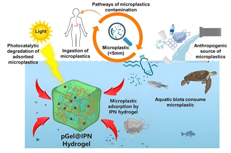 Innovative Hydrogel for Microplastic Removal from Water