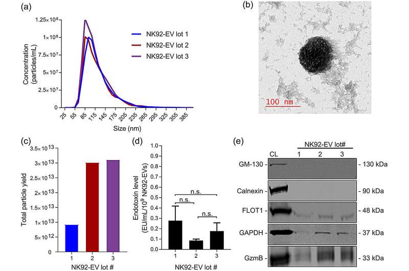 Biomanufacturing Workflow for Natural Killer Cells & Extracellular Vesicles: A New Path for Immunotherapy