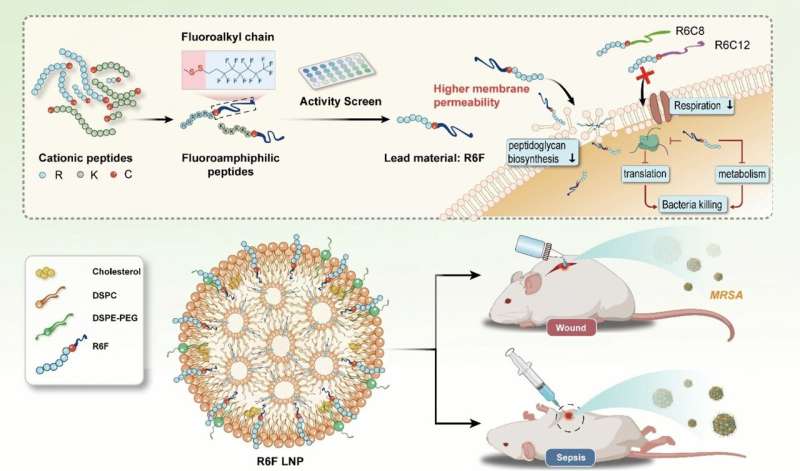Fluorous Lipopeptides: A Novel Approach to Combat Multidrug-Resistant Bacteria