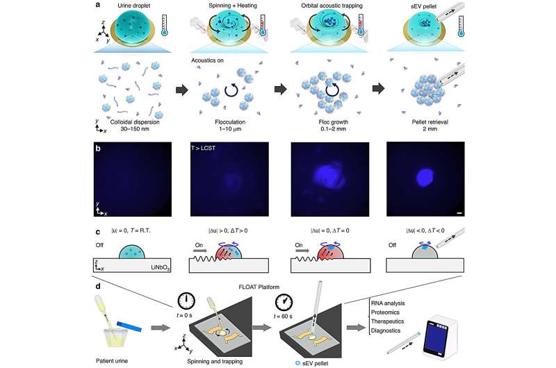 Rapid Disease Diagnostics: Novel EV Isolation with FLOAT Technology