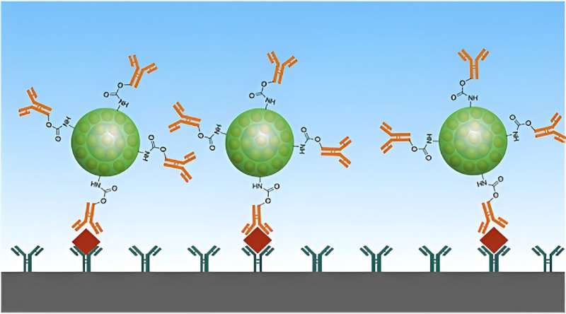 Gold Nanoparticles Enhance Infectious Disease Testing Accuracy