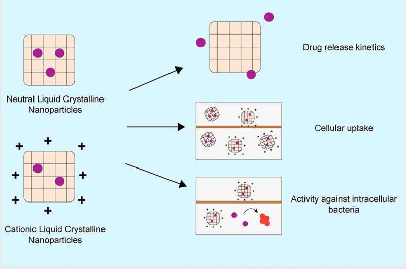 Liquid Crystal Nanoparticles Enhance Antibiotic Efficacy for Cystic Fibrosis Treatment