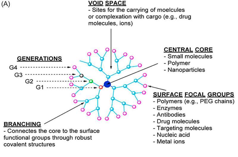 Nanoparticles in Cancer Therapy: Advances & Applications