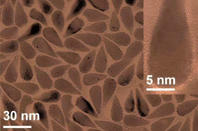 Nanoparticle Therapy: Targeting COVID-19 Variants with Spike Protein Innovation