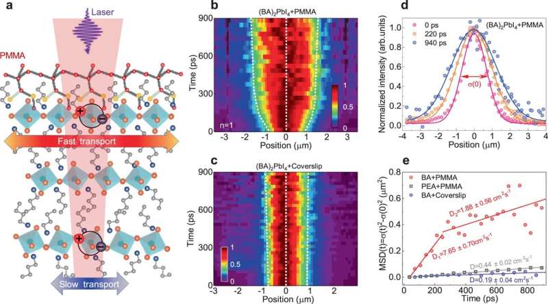 Enhanced Exciton Mobility in 2D Ruddlesden-Popper Perovskites – A Breakthrough in Optoelectronics