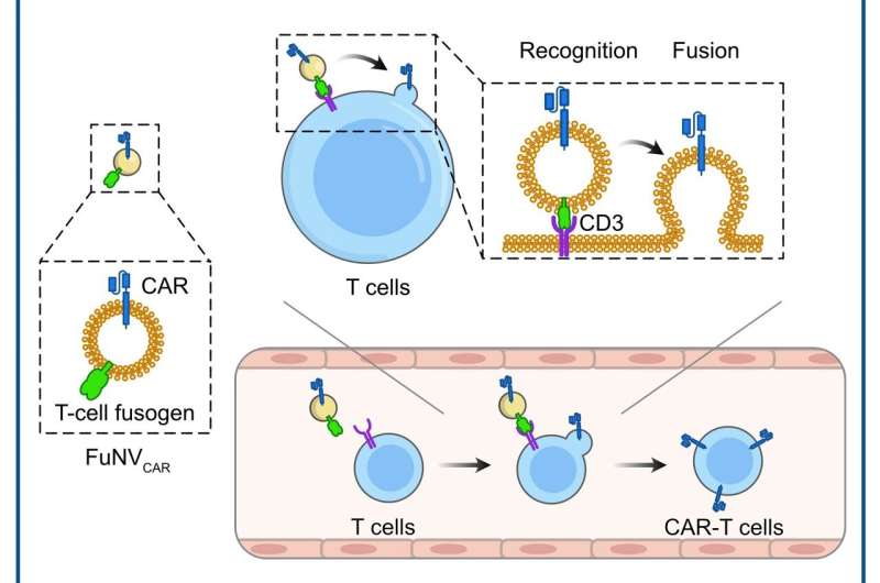 In Vivo CAR-T Cell Production with Virus-Mimetic Nanovesicles