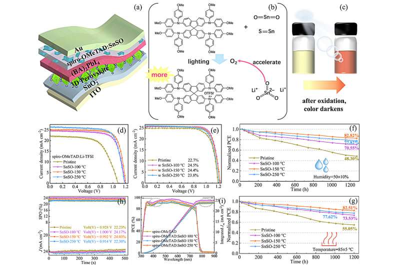 Boosting Perovskite Solar Cell Efficiency with Optimized Hole Transport Layers