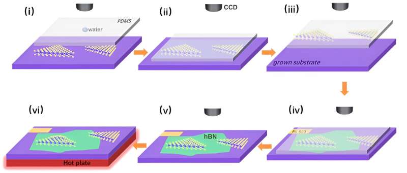 Strain Engineering at MoS₂/hBN Interfaces Boosts Hydrogen Evolution Reaction