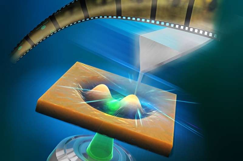 Real-Time Nanoscale Observation of Light-Driven Polymers with Advanced Microscopy