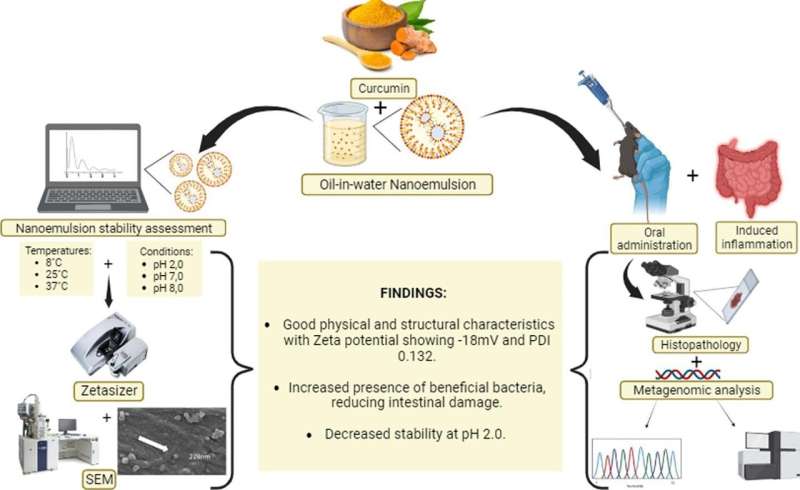 Curcumin Nanoemulsion Shows Promise for Treating Intestinal Inflammation