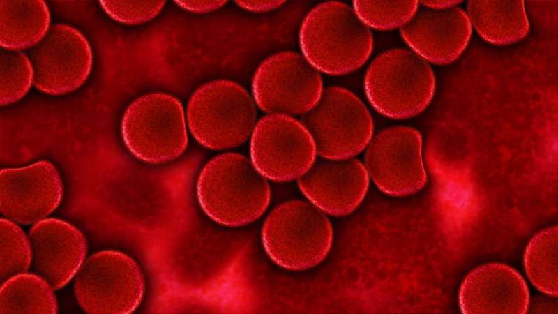 New Heatmap Reveals Individual Red Blood Cell Behavior