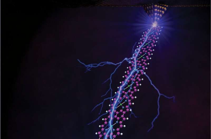 Ballistic Transport in Porphyrin Nanoribbons: A Novel Approach to Molecular Electronics