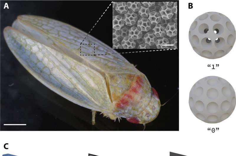 Scientists Create World s Smallest QR Code Using Infrared Technology