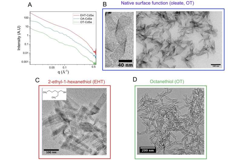 Spontaneous Curvature Drives Shape-Shifting Nanomaterials: A New Discovery