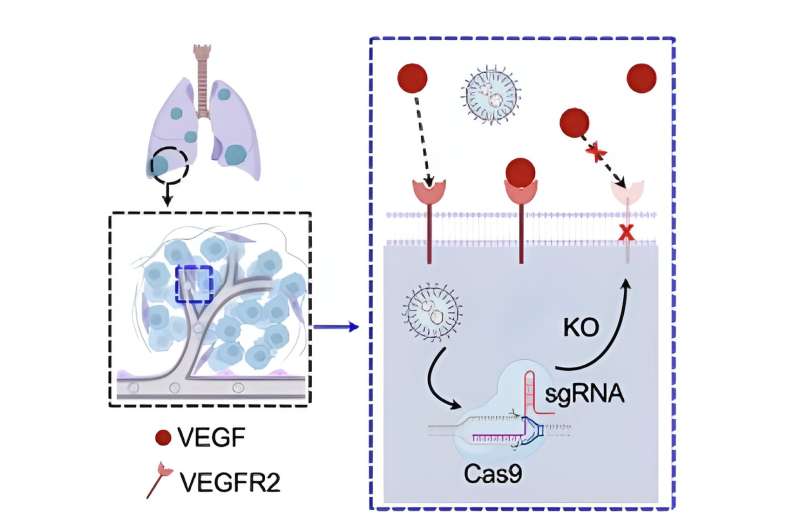 Targeting Lung Disease: Lipid Nanoparticles for Precision Pulmonary Medicine
