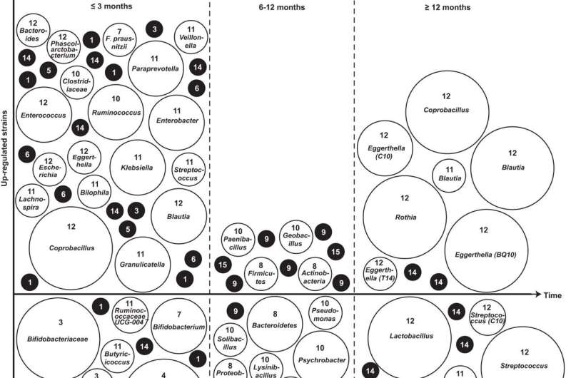 Nanoparticle Sonodynamic Therapy Shows Promise Against H. pylori Infection