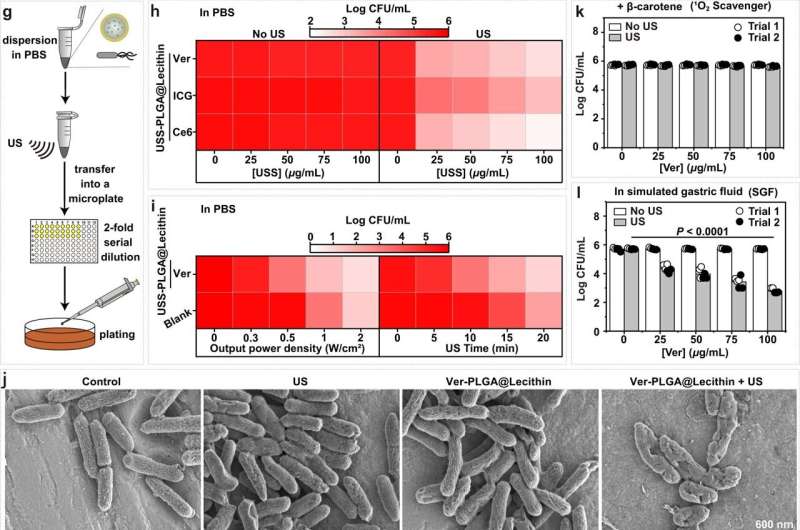 Nanoparticle Sonodynamic Therapy Shows Promise Against H. pylori Infection