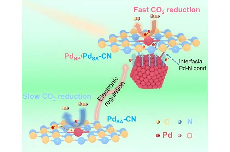 Palladium Single Atoms & Nanoparticles for CO2 Reduction: A Novel Approach