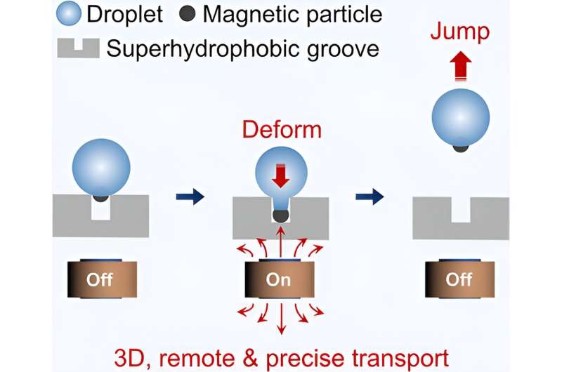 Researchers Control Water Drop Movement with Magnetism