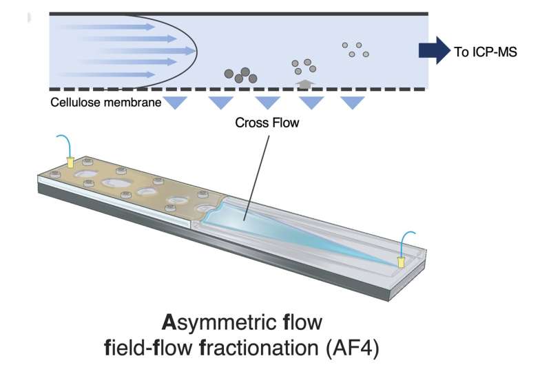 Advanced Cytotoxicity Analysis of Silica Nanoparticles via Size-Based Separation