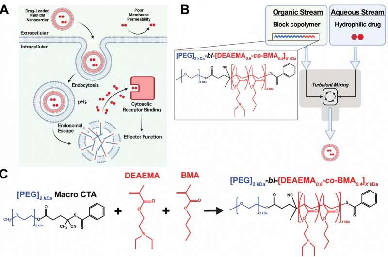 Novel Nanoparticle for Enhanced Drug Delivery to Immune Cells