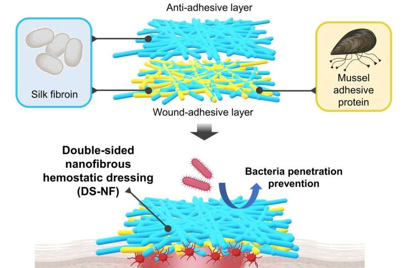 Mussel & Silk Protein Hemostatic Agent: A Breakthrough in Organ Bleeding Control