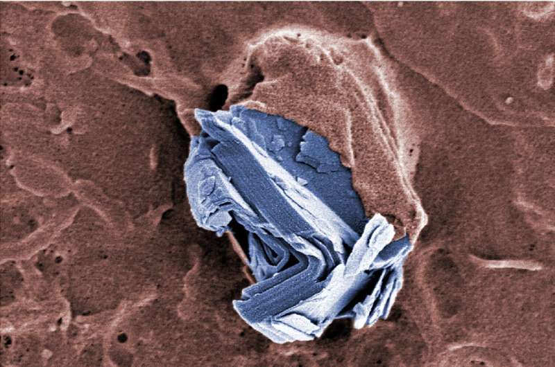 Graphene Research: Exploring Applications & Safety - Graphene Flagship