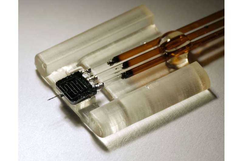 Nanoscale Brain Chemistry Sensor Developed for Advanced Biomedical Research