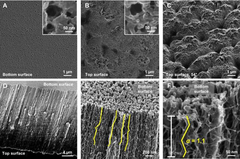 VaCNT Membrane Structure: Surface Morphology & Pore Analysis