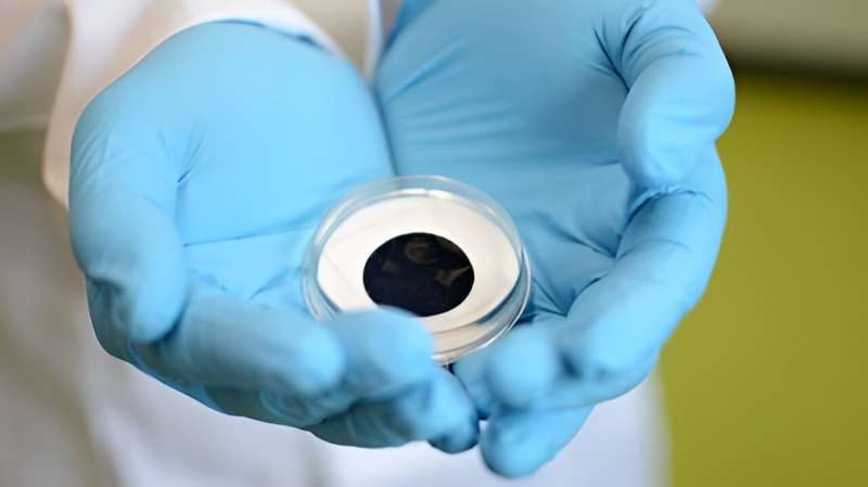 VaCNT Membrane Structure: Surface Morphology & Pore Analysis