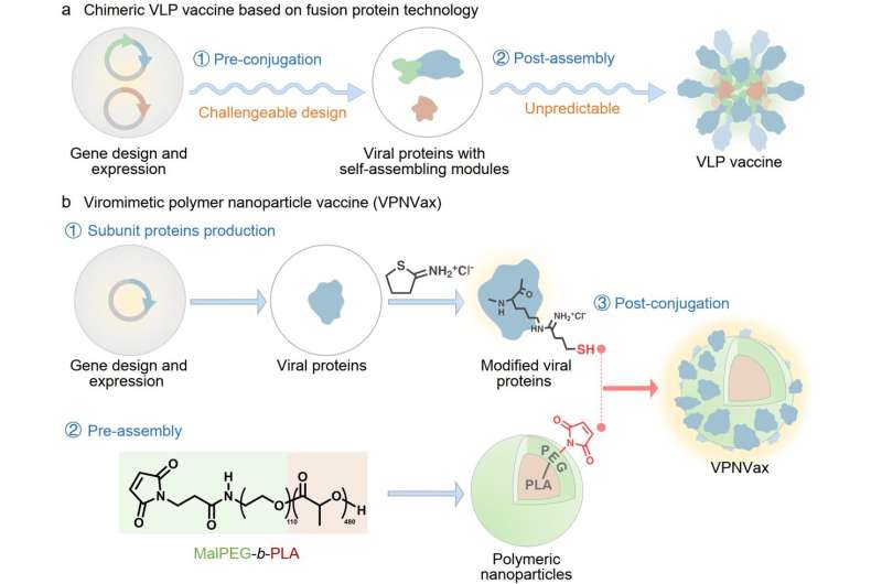 VPNVax: A Novel Approach to Enhanced Viral Vaccines via Polymer Restructuring