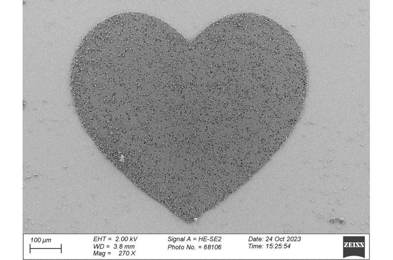 Solvent-Free Micro- and Nanoparticle Assembly for Advanced Materials