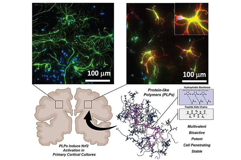Targeting Undruggable Proteins: A Novel Approach to Neurodegenerative Disease Treatment