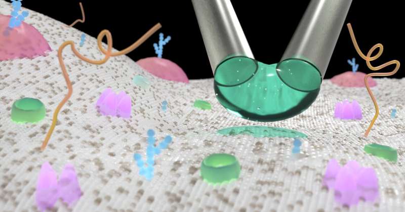 μkiss: Precise Nanoparticle & Molecule Delivery to Single Cells - Revolutionizing Biological Research