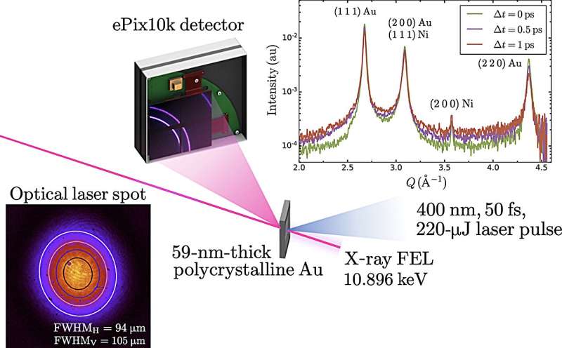 Laser-Excited Gold: Unveiling Unusual Behavior with LCLS