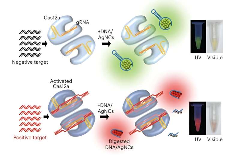Subak: New Low-Cost Tool for Rapid Pathogen Detection
