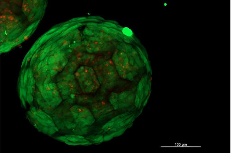 3D Printing for Artificial Cartilage: A Novel Tissue Engineering Approach
